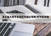 怎么加入牧牛生态区块链公司呢[牧牛区块链招聘]